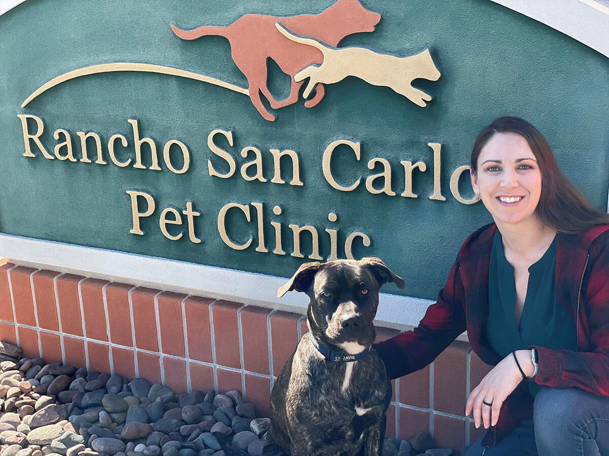Best Veterinary Urgent Hospital In San Diego, CA 92119 | Rancho San Carlos Pet  Clinic