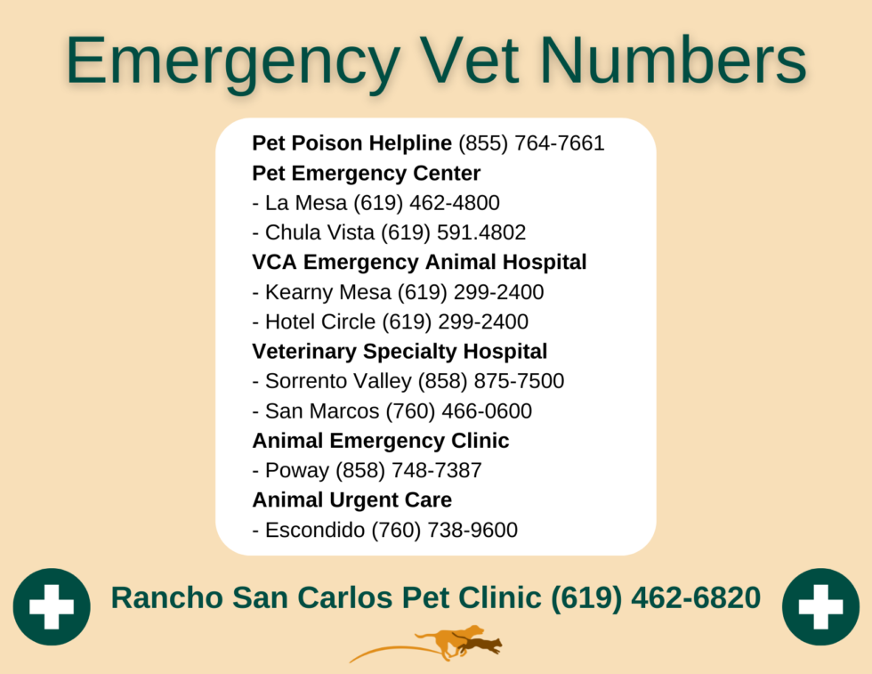 San Diego, CA Veterinary Emergency Resources RSCPC