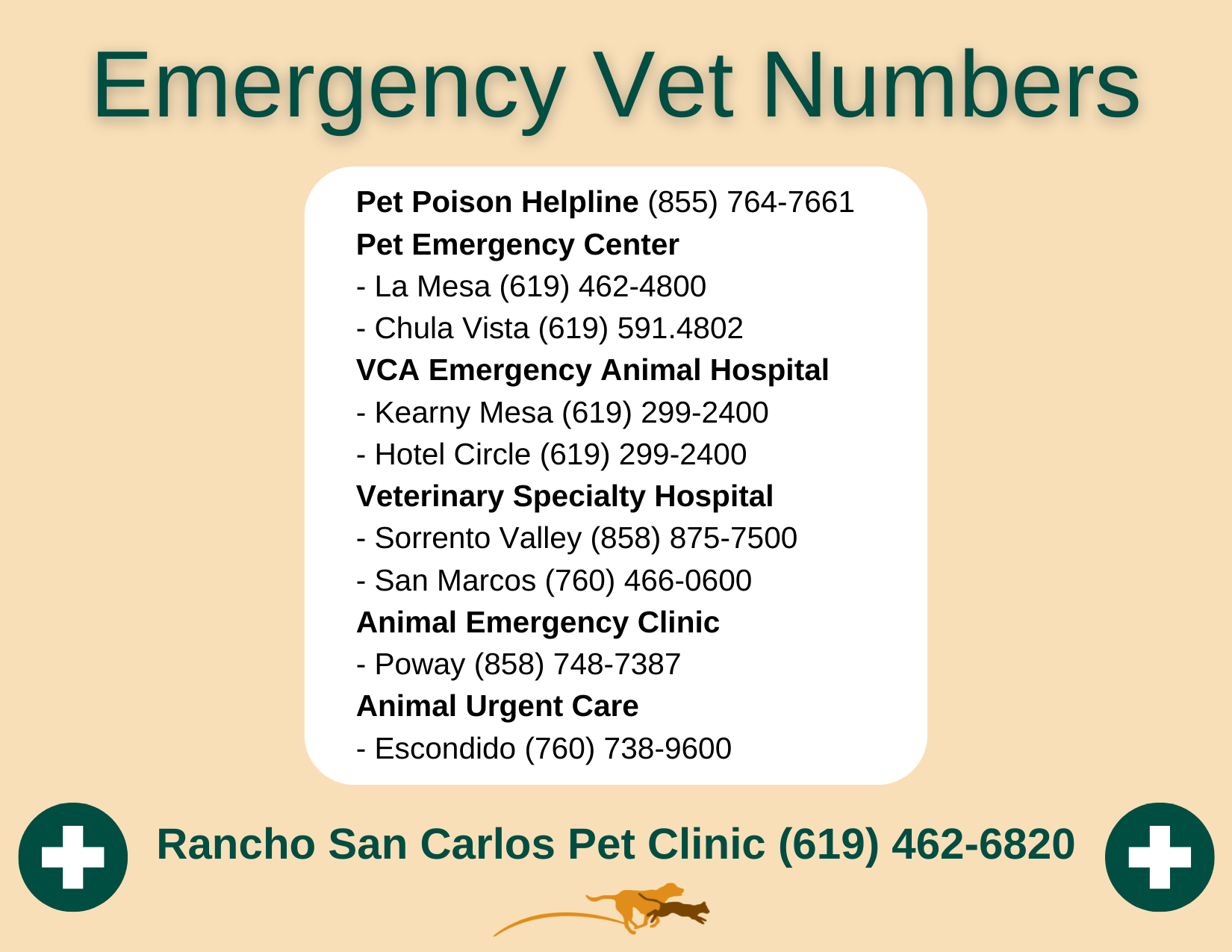 San Diego, CA Veterinary Emergency Resources | RSCPC